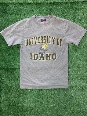 Vintage University of Idaho Vandals Mascot Graphic T-Shirt Gray Small